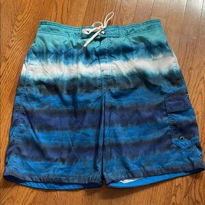 Speedo Blue Gradient Men's Swim Swim Shorts